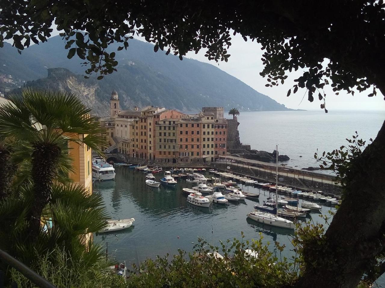 Appartamento Casa Teresina a Camogli Esterno foto